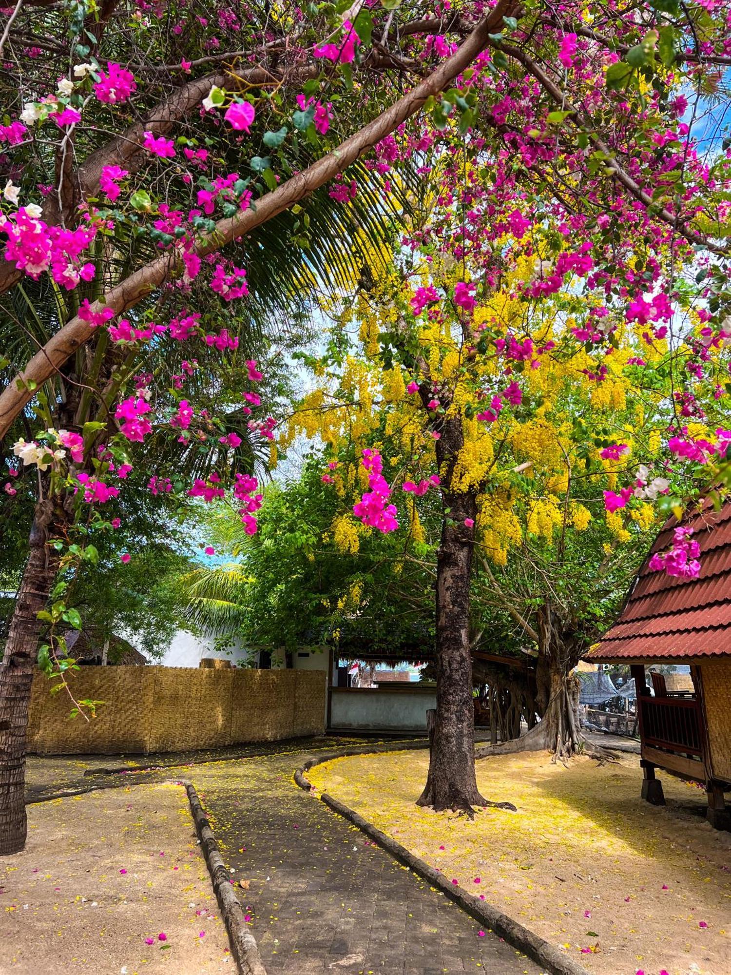 Gita Gili Bungalow Gili Air Buitenkant foto